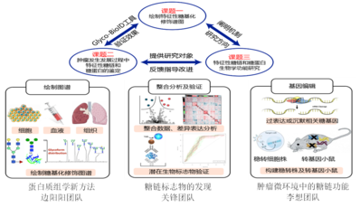 我校5人獲省杰青項目資助、4支團隊入選省重點科技創新團隊