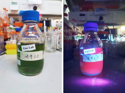 深圳科學家研發新型納米材料,有望提高農作物產量