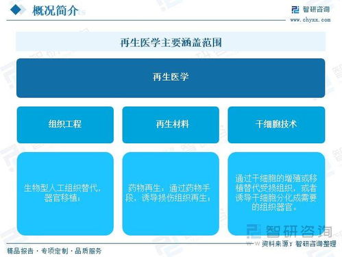 再生醫(yī)學(xué)行業(yè)前景如何 先進(jìn)醫(yī)療技術(shù)需求增長(zhǎng),全球市場(chǎng)規(guī)模加速擴(kuò)容