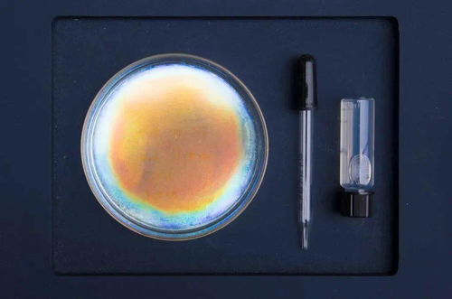 生物紡織研究 跨領域設計師們繼續給你帶來綠色靈感