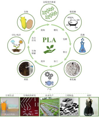 丁建勛 李鴻杰 楊佳臻(中國科學(xué)院長春應(yīng)用化學(xué)研究所):新時代生物質(zhì)降解材料聚乳酸,助力綠色環(huán)保的&ldquo;未來之鑰&rdquo;_作品展示