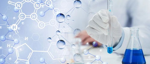 PE發(fā)泡塑料配方分析與檢測(cè)標(biāo)準(zhǔn)及生物基材料技術(shù)研發(fā)