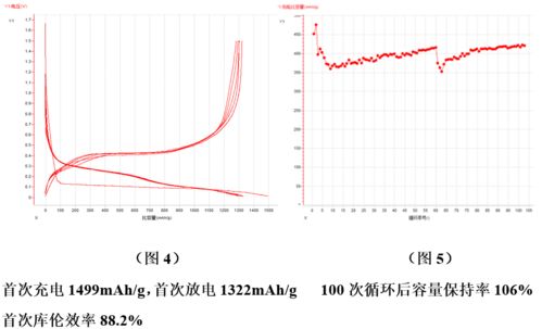 技術(shù)前沿│全球硅基負(fù)極材料專利數(shù)量已逾萬(wàn)件，探尋生物硅負(fù)極材料的秘密