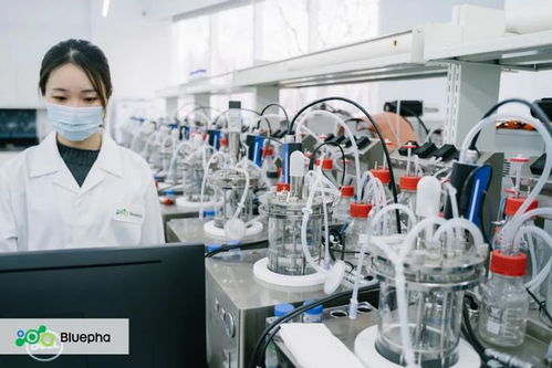 藍(lán)晶微生物獲15億元B輪系列融資，元生資本與混改基金領(lǐng)投，加速生物基材料研發(fā)